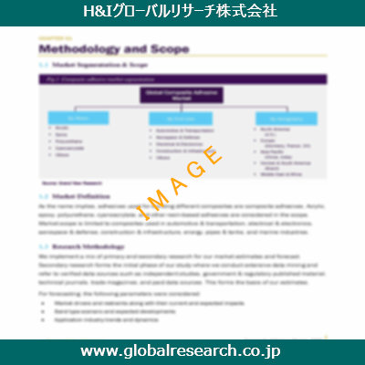 市場調査レポートのイメージ