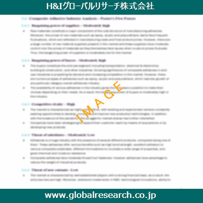 市場調査レポートのイメージ