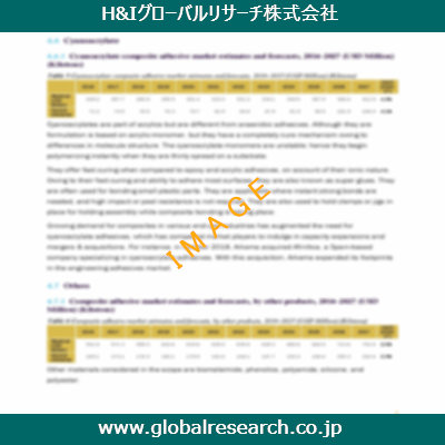 市場調査レポートのイメージ