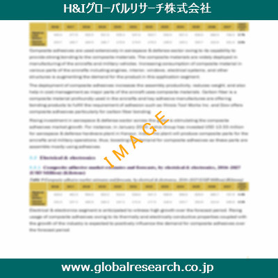 市場調査レポートのイメージ