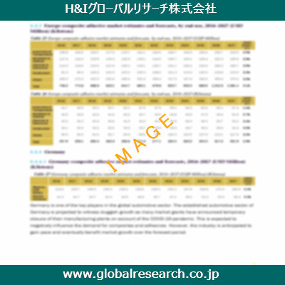 市場調査レポートのイメージ