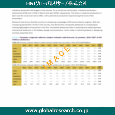 市場調査レポートのイメージ