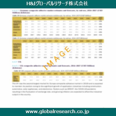 市場調査レポートのイメージ