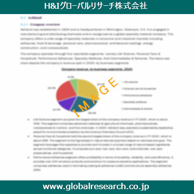 市場調査レポートのイメージ