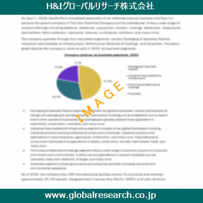 市場調査レポートのイメージ