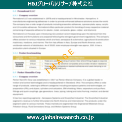 市場調査レポートのイメージ