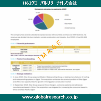 市場調査レポートのイメージ