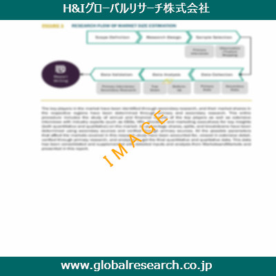 市場調査レポートのイメージ