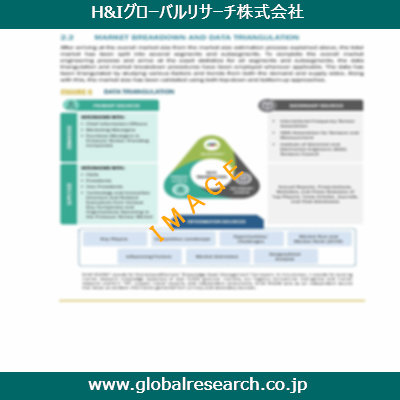 市場調査レポートのイメージ