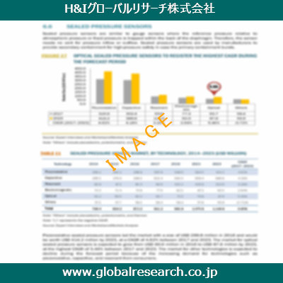 市場調査レポートのイメージ