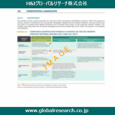 市場調査レポートのイメージ