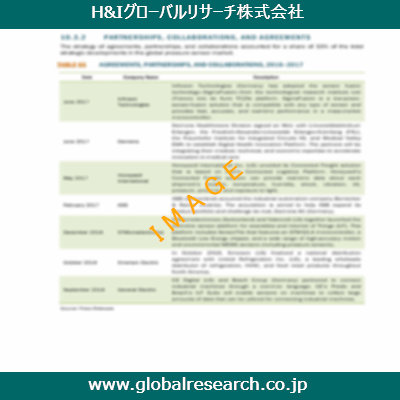 市場調査レポートのイメージ