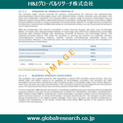 市場調査レポートのイメージ