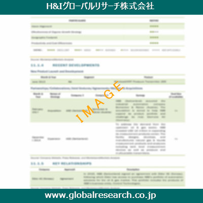 市場調査レポートのイメージ