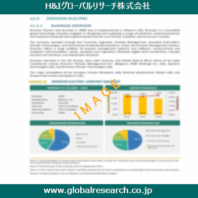 市場調査レポートのイメージ