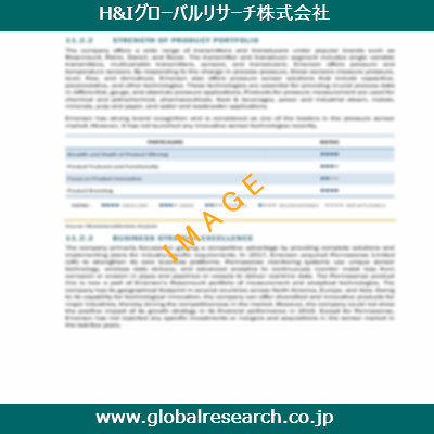 市場調査レポートのイメージ