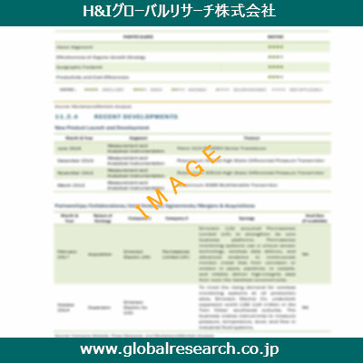 市場調査レポートのイメージ