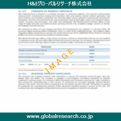 市場調査レポートのイメージ