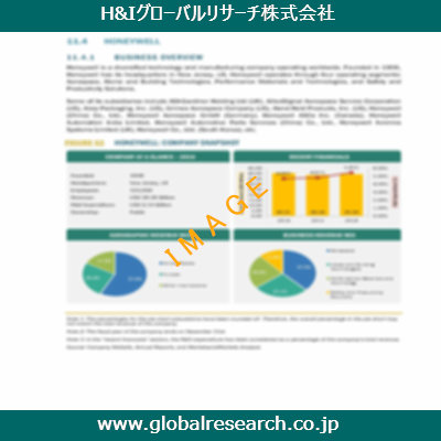 市場調査レポートのイメージ
