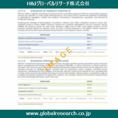 市場調査レポートのイメージ