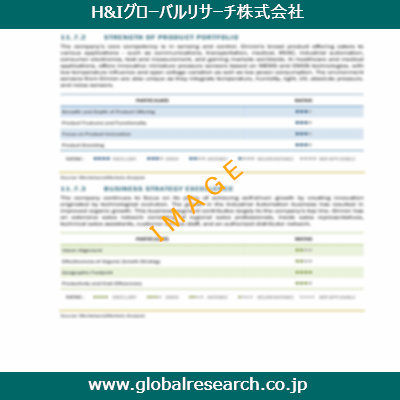 市場調査レポートのイメージ