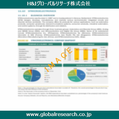 市場調査レポートのイメージ