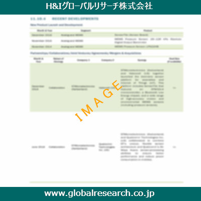 市場調査レポートのイメージ