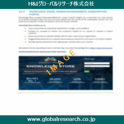 市場調査レポートのイメージ