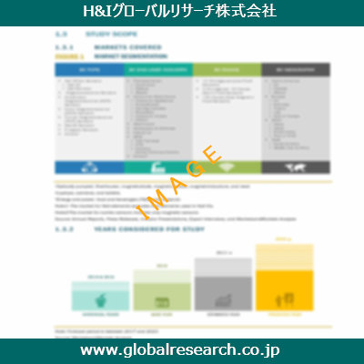 市場調査レポートのイメージ