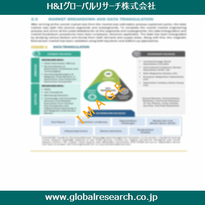 市場調査レポートのイメージ