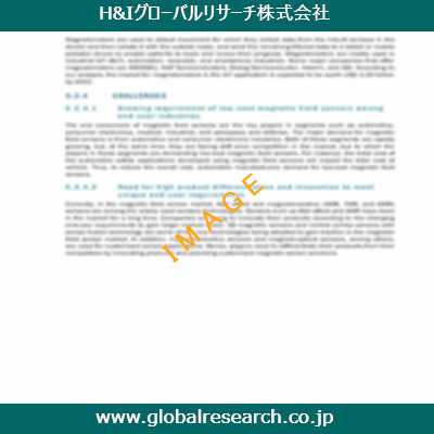市場調査レポートのイメージ
