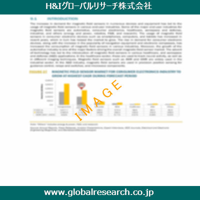 市場調査レポートのイメージ