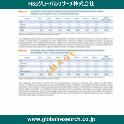 市場調査レポートのイメージ