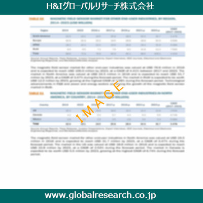 市場調査レポートのイメージ