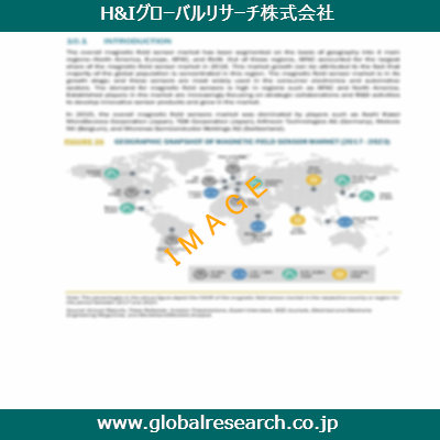 市場調査レポートのイメージ