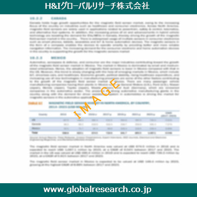 市場調査レポートのイメージ