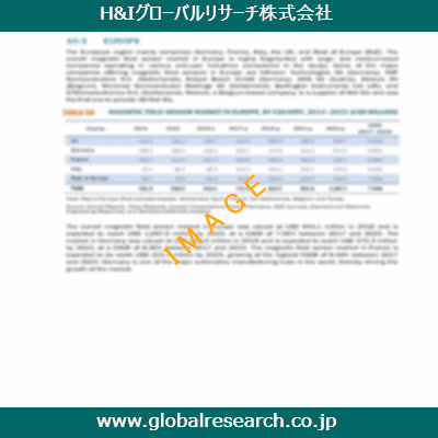 市場調査レポートのイメージ