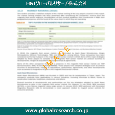 市場調査レポートのイメージ