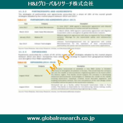 市場調査レポートのイメージ