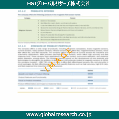 市場調査レポートのイメージ