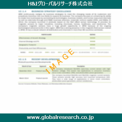 市場調査レポートのイメージ