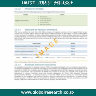 市場調査レポートのイメージ