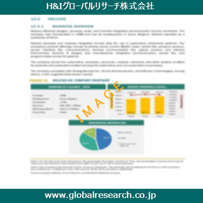 市場調査レポートのイメージ