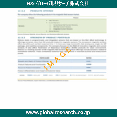 市場調査レポートのイメージ