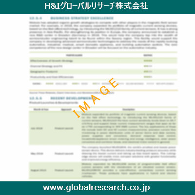 市場調査レポートのイメージ