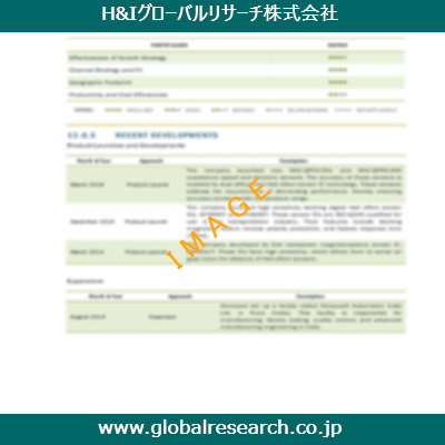 市場調査レポートのイメージ