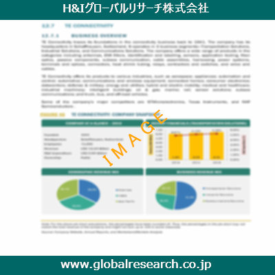 市場調査レポートのイメージ