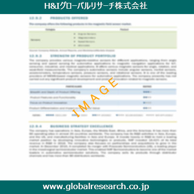 市場調査レポートのイメージ
