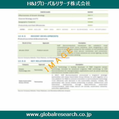 市場調査レポートのイメージ