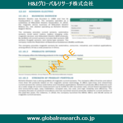 市場調査レポートのイメージ